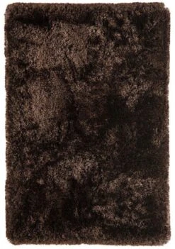 Asiatic Plush Rug - Dark Chocolate